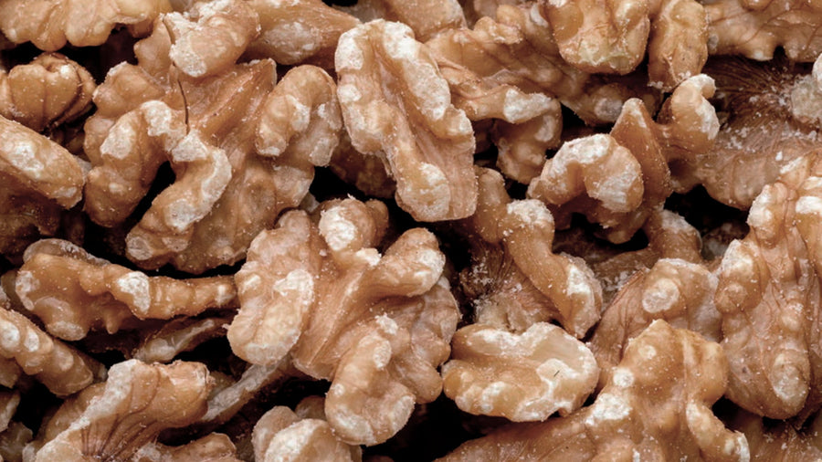 ¿Qué alimentos son buenos para la concentración?”.