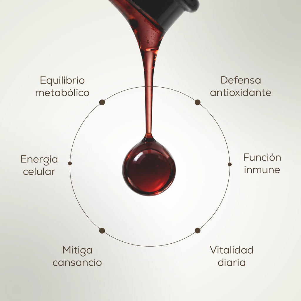 Multivitamin All in one