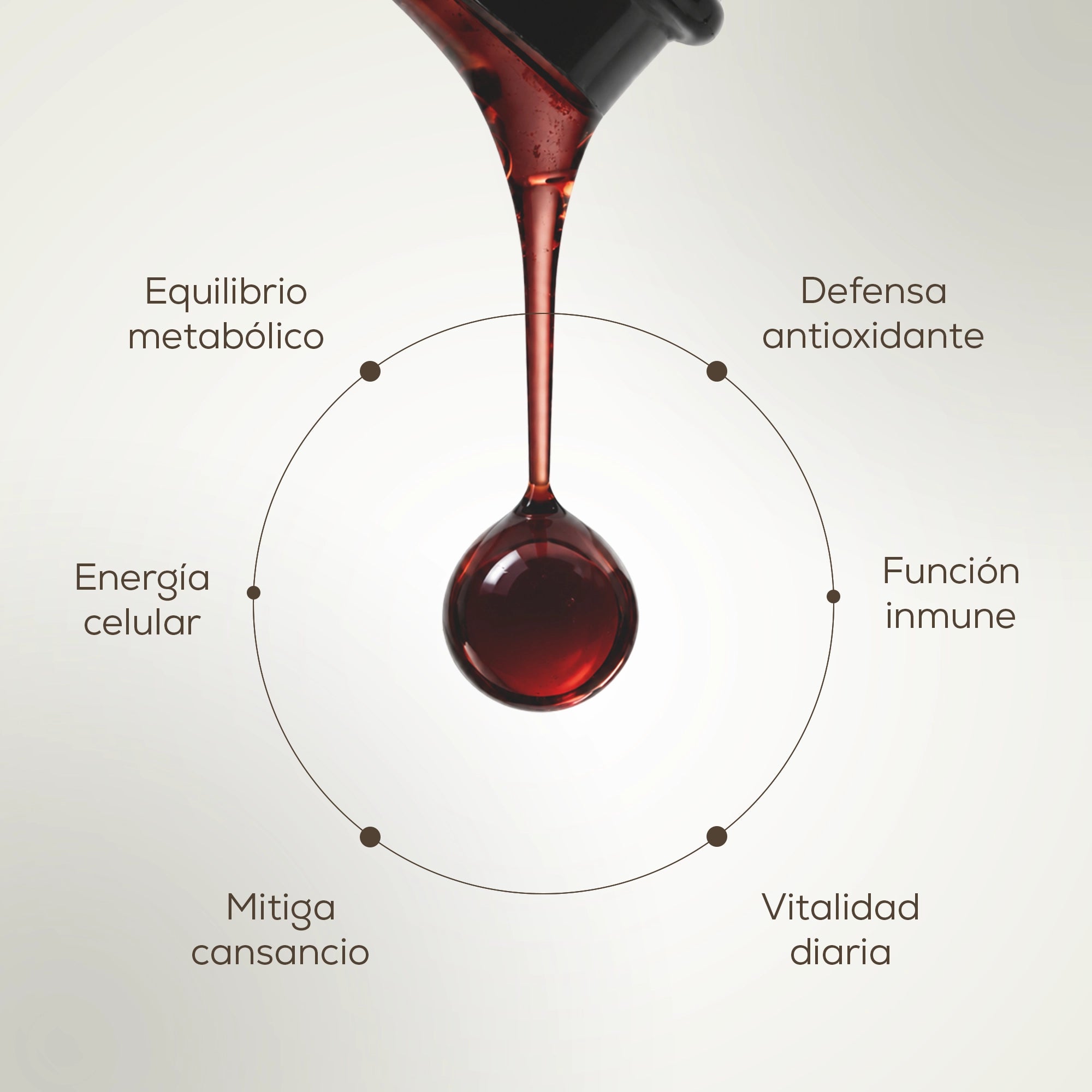 Multivitamin All in one